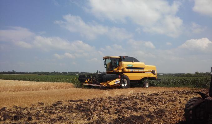 Аграрії Білокуракинського району розпочали збиральну кампанію ранніх зернових та зернобобових культур