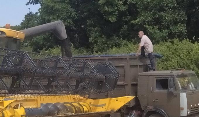 Жнива тривають