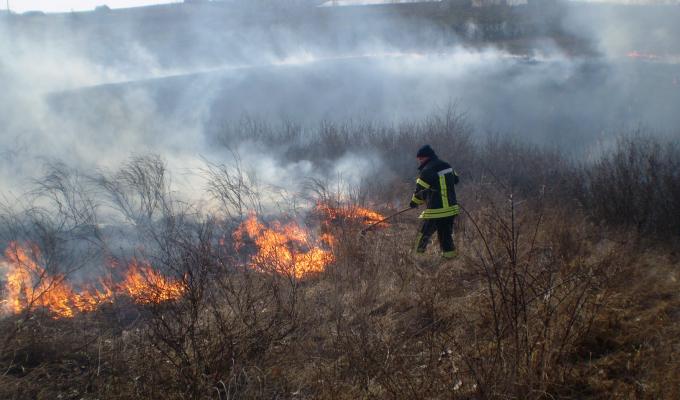 Пожежі на відкритій території та в екосистемах