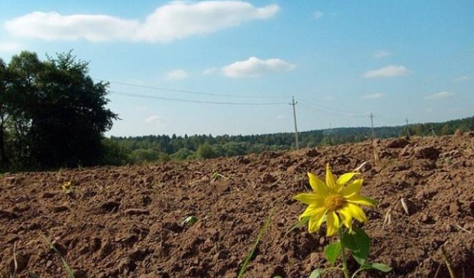Додаткова фінансова підтримка сімейним фермерським господарствам