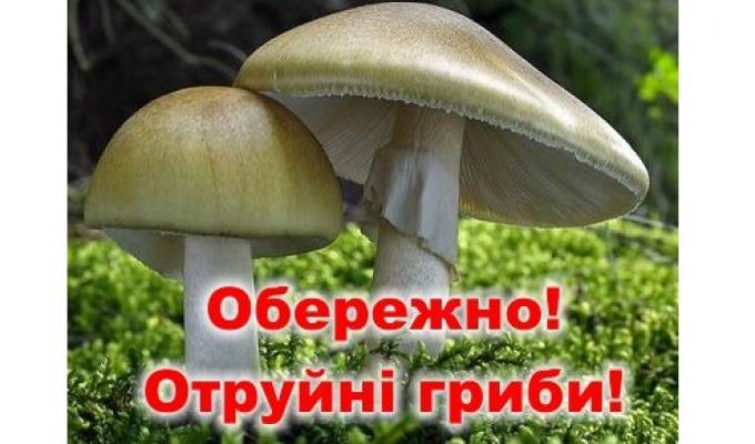 Отруєння грибами небезпечне для життя