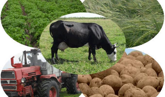 Про стан розвитку сільського господарства  в Білокуракинському районі 