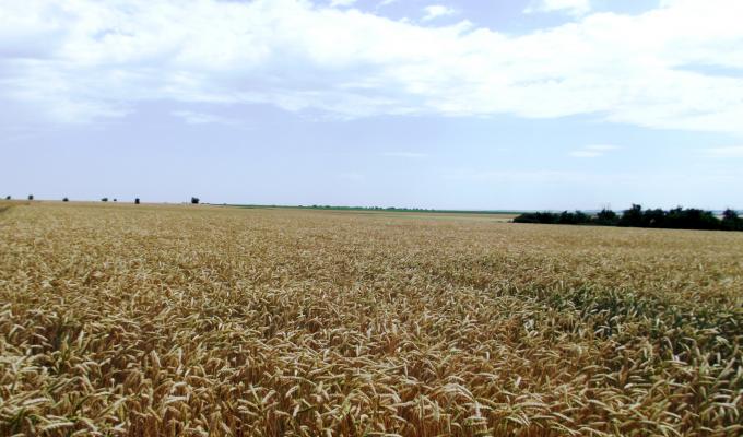 Попередження пожеж під час збирання врожаю