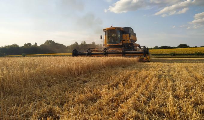 Аграрії Білокуракинського району продовжують збирання ранніх зернових культур