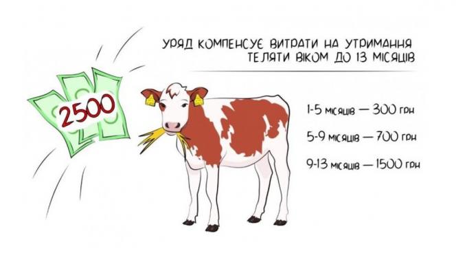 Дотація за молодняк ВРХ