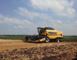 Аграрії Білокуракинського району розпочали збиральну кампанію ранніх зернових та зернобобових культур