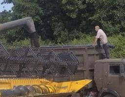 Жнива тривають