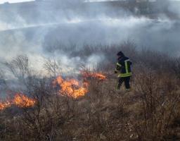 Пожежі на відкритій території та в екосистемах