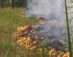 Коли горить суха трава