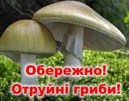 Отруєння грибами небезпечне для життя