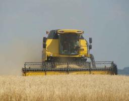 Підсумки збирання ранніх зернових та зернобобових культур 2020 року.
