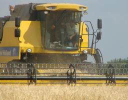 Жнива у районі продовжуються