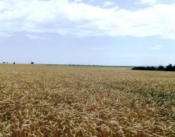 Попередження пожеж під час збирання врожаю