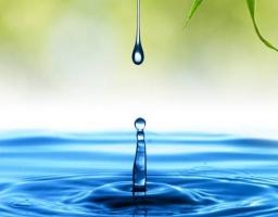 До уваги бажаючих отримати водні об’єкти в оренду у комплексі із земельною ділянкою на конкурсних засадах (земельних торгах)