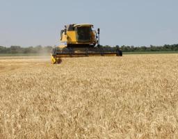 Аграрії Білокуракинщини завершили  збирання ранніх зернових культур