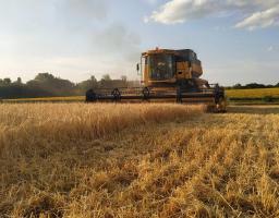 Аграрії Білокуракинського району продовжують збирання ранніх зернових культур