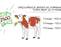 Дотація за молодняк ВРХ