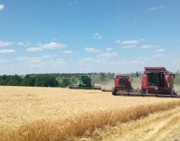 Аграрії району розпочали збирання ранніх зернових
